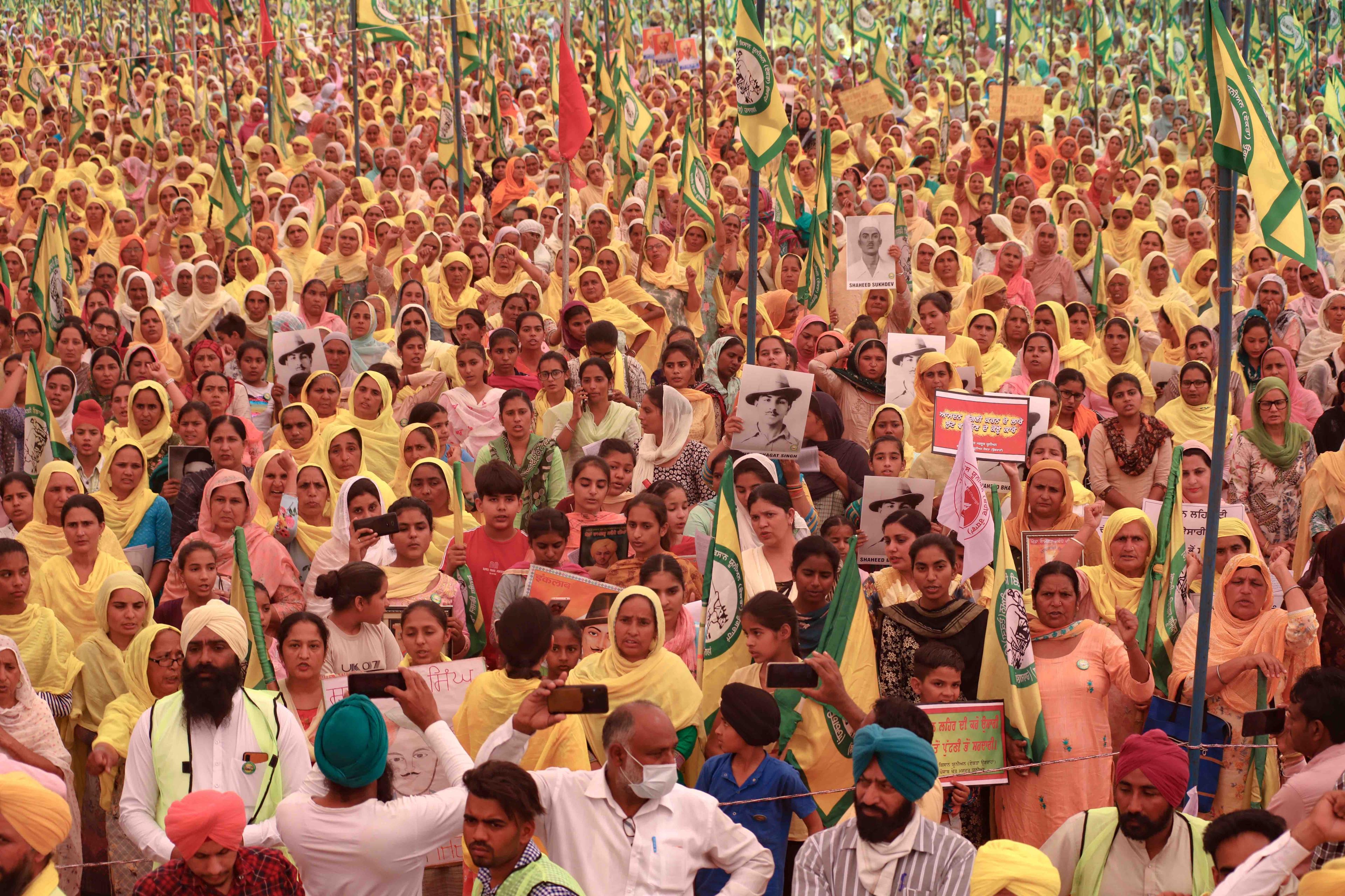 Still from Farming The Revolution